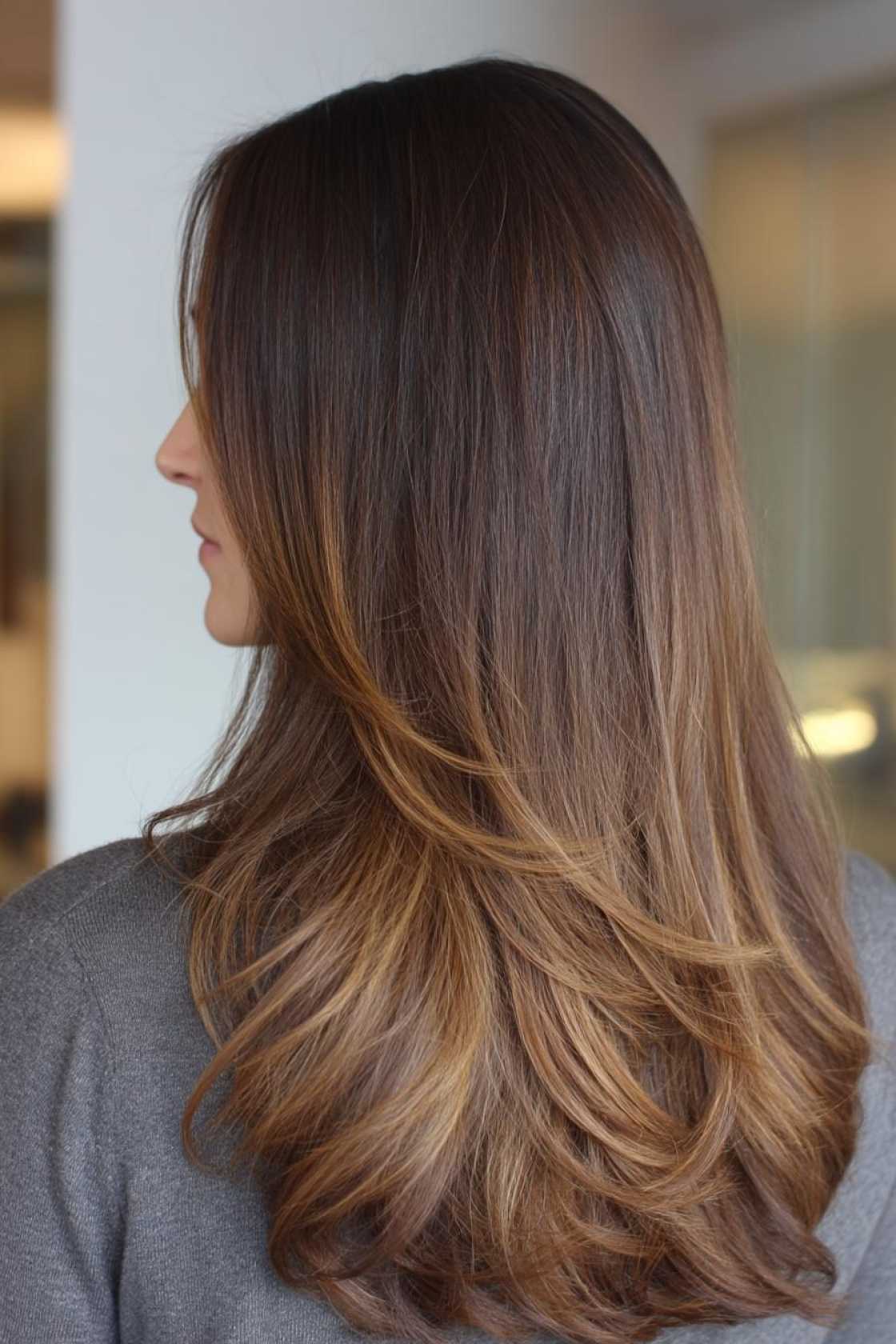 From Caramel Swirls to Ashy Tones: 20+ Trendsetting Hair Colors for Brunettes - 8. Sombre Brunette