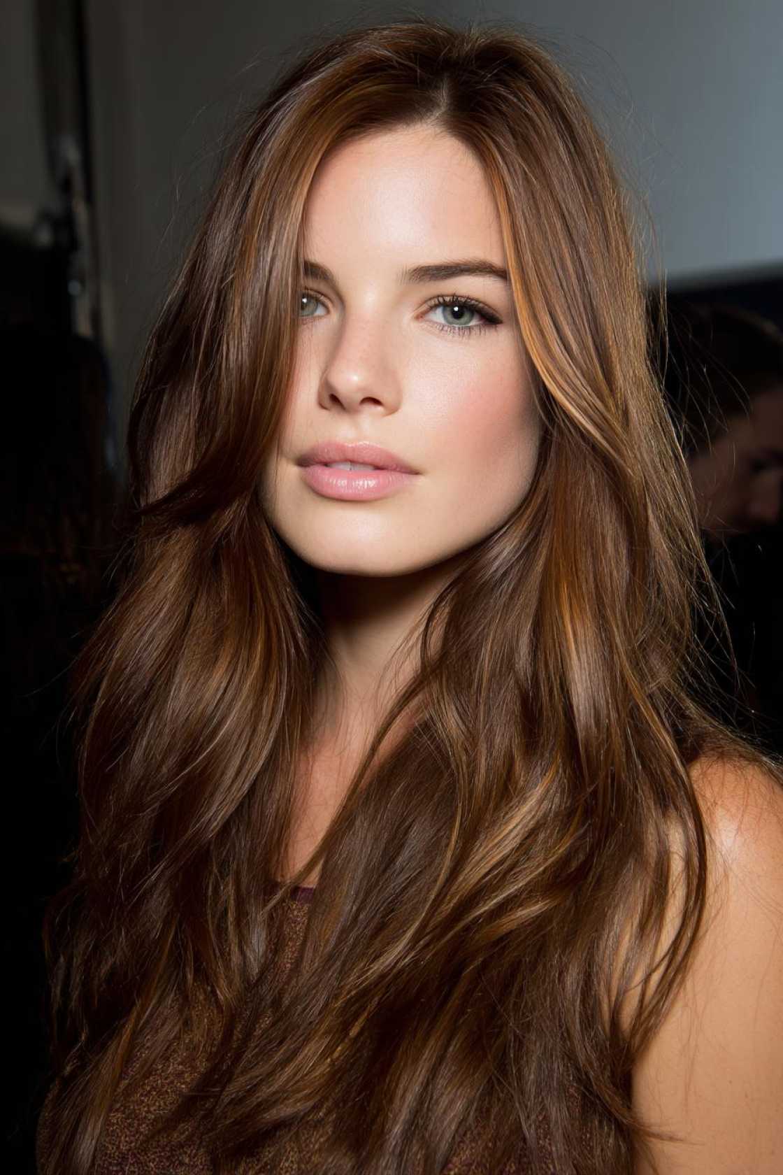 Sun-Kissed & Sunkissed: 18+ Balayage & Highlight Ideas for Long Brown Hair. - 4. Face-Framing Highlights