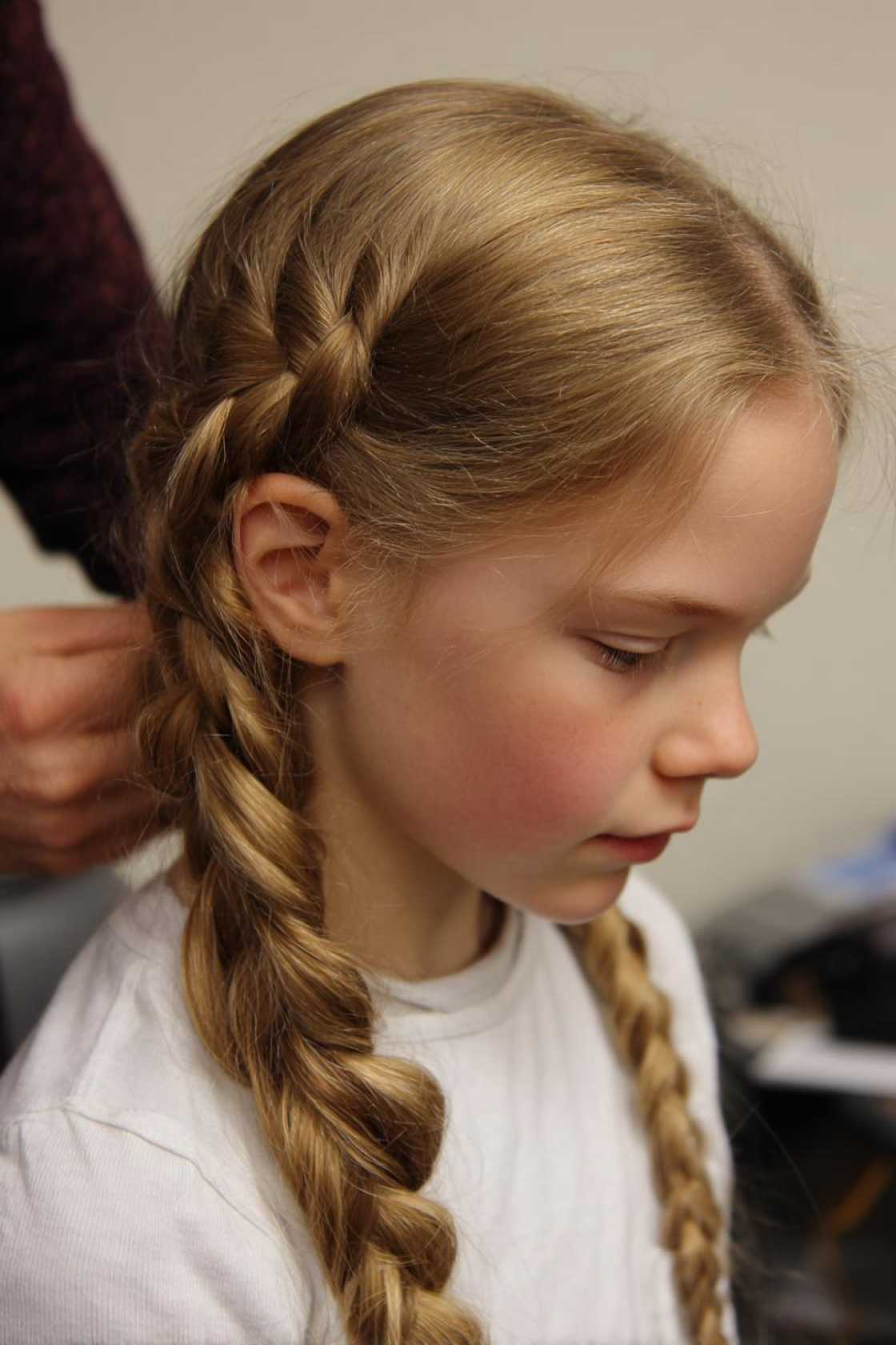 Unlock Your Inner Stylist: 12+ Easy Braided Hairstyles You Can Master Today. - 13. The Simple Three-Strand Braid